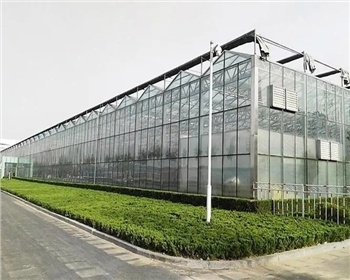 四川溫室大棚種植有哪些優(yōu)點是你還不知道的？